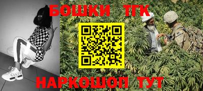 крисы Будённовск