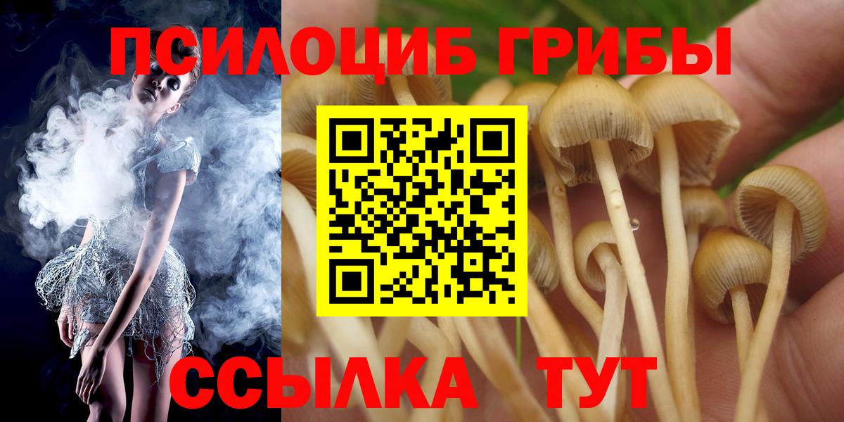 Хабаровск  Псилоцибиновые грибы Psilocybe  Вход с VPN  Галлюциногенные грибы GOLDEN TEACHER 